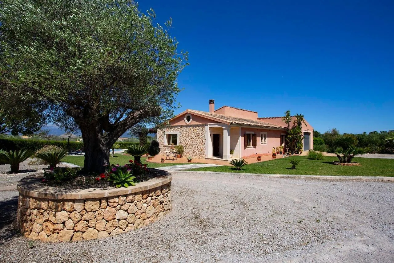 Finca Oliveres Muro