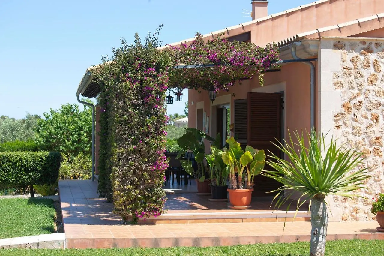 Finca Oliveres Muro 0*,  Spagna