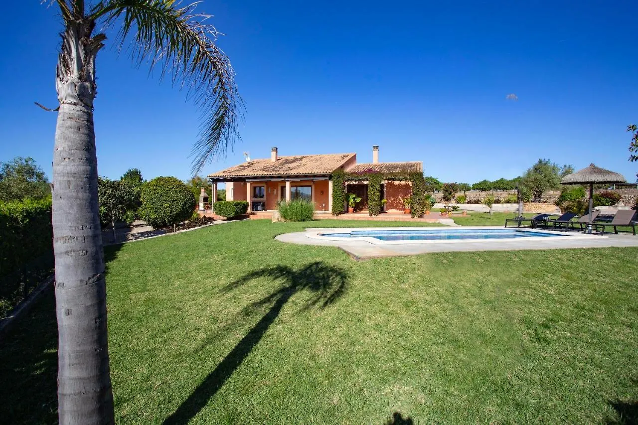 Finca Oliveres Muro